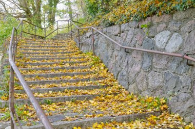 Marinefernmeldeschule 'un Flensburg' daki bir limanın doğu kıyısındaki ağaçlarla çevrili bir tepede bulunan Strategische Aufklrung için manzarası. Gökyüzü bulutlu..