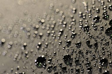 Karanlık bir yüzeyde su damlacıklarının yakın çekimi arka planda bulanık ışıklarla bir bokeh etkisi yaratır..