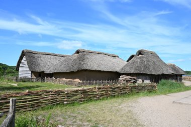 Çimenlerle çevrili geleneksel Viking Wikinger sazdan tavanlı evleri ve parlak mavi gökyüzünün altında ahşap bir çit..
