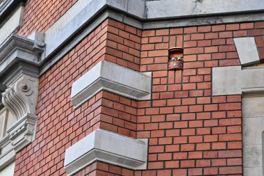 Dekoratif bir unsurun yer aldığı tuğla bir duvarın yakın çekim görüntüsü. Duvar pürüzsüz bir taş çerçeveli kırmızı tuğlalardan yapılmıştır. Statler ve Waldorf duvarda gömülü.