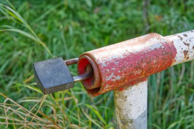 Üzerinde asma kilit olan paslı metal bir kapı mandalına yakın plan yeşil çimen ve yapraklardan oluşan bir arka plan..