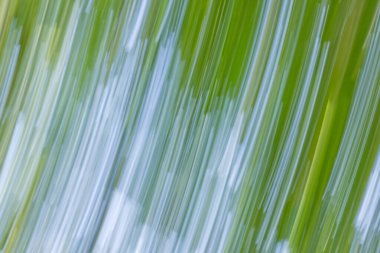 Bulanık yeşil ve mavi dikey çizgilerin yer aldığı soyut bir görüntü hareket ve sükunet hissi yaratıyor. Renkler yumuşakça karışıyor, doğal bir çevreyi çağrıştırıyor..