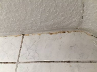 Kiremit ve duvar kavşağı boyunca küf ve renk bozulmasını gösteren bir banyo köşesi. Fayanslar mermer desenli beyaz ve duvarın desenli bir bitişi var..