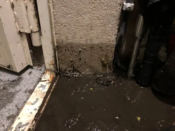 Bir odanın köşesinde yerde çamurlu su ve nemli duvarlar var. Potansiyel sel ya da sızıntı olduğunu gösteren görünür lekeler ve enkaz var..