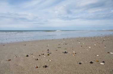 Küçük deniz kabukları ve çakıl taşlarıyla dağılmış kumlu bir sahil manzarası. Okyanus dalgaları bulutlu bir gökyüzünün altında yavaşça kıyıya vurur..