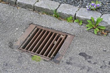 Küçük taşlar ve yeşil bitkilerle çevrili beton kaldırıma kurulmuş metal bir rögar ızgarası. Kanalizasyon biraz paslanmış ve birkaç parça yosun var..