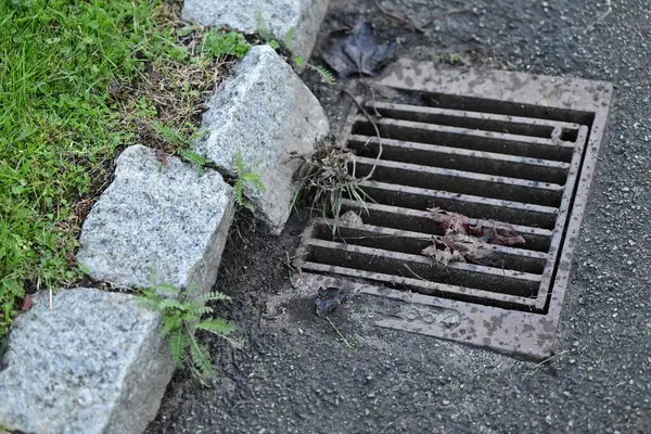 Etrafı çim ve taşlarla çevrili asfalt bir alandaki rögarın yakınında. Bir taş devrilmiş ve eğilmiş. Kanalizasyon kısmen yapraklar ve molozlarla kaplı. Bu da yağmurun yağdığını gösteriyor..