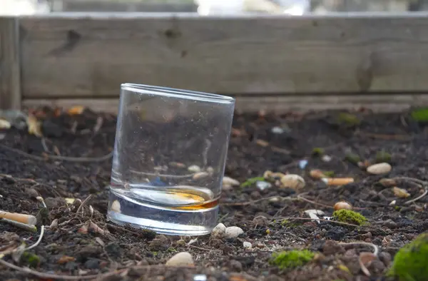 Düşük miktarda kahverengi sıvı içeren eğimli bir cam bardak. Dağılmış çakıl taşları ve yosunlarla birlikte toprağın üzerinde duruyor. Arka planda ahşap kalaslar var, bu da açık hava ortamını işaret ediyor..