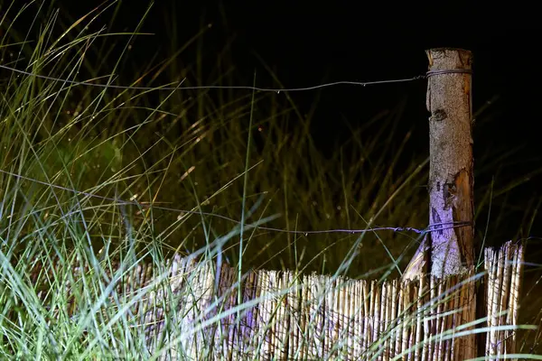 Gece uzun otlarla çevrili ahşap bir çit direğinin yakın görüntüsü, yumuşak ışıkla aydınlatılmış, sakin ve sakin bir atmosfer yaratıyor..