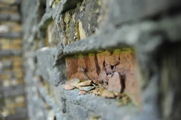 Yıpranmış tuğladan bir duvarın yakın çekimi boyayı ve harcı gösteriyor..