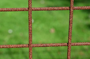 Bulanık yeşil çimen arka planlı paslı metal parmaklıklara yakın plan..