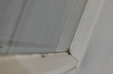 Çerçeve ve cam, ahşap ve dolgu macunu olan bir pencere kenarına yakın plan. Aşırı nem nedeniyle köşede siyah küf oluştu..