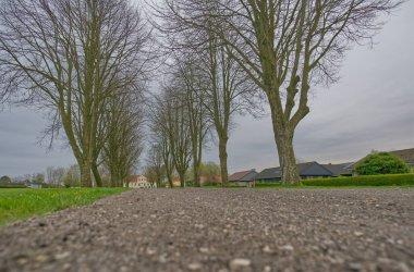 Her iki tarafında çıplak ağaçlar olan sakin bir patika uzak bir eve doğru gidiyor. Gökyüzü bulutlu, sakin bir atmosfer yaratıyor. Toprak, yemyeşil çimlerle çevrili bir çakıl yolu..