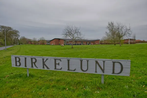 Çimenli bir alanda, bulutlu bir gökyüzünün altında, arka planda binalar olan bir 