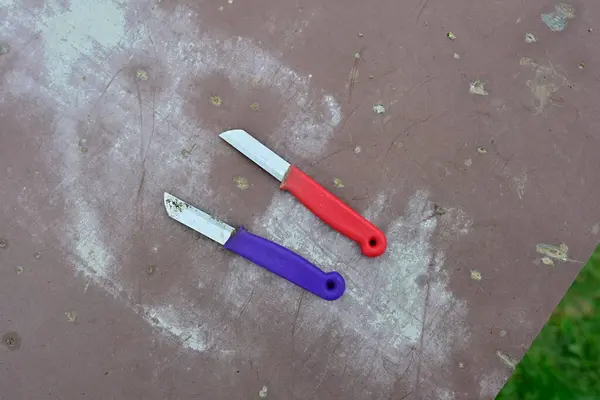Plastik saplı iki küçük bıçak, biri kırmızı ve biri mor, desenli bir yüzeye yerleştirilmiş, dışarıda biraz toprak ve enkaz var.