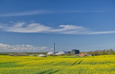 Arka planda, Danimarka 'nın modern sanayi tesisi Doğa Enerjisi Kvaers Biyogaz Fabrikası yer alıyor. Tesiste büyük depolama tankları ve sarı kolza tohumu tarlaları olan uzun bir baca bulunuyor.
