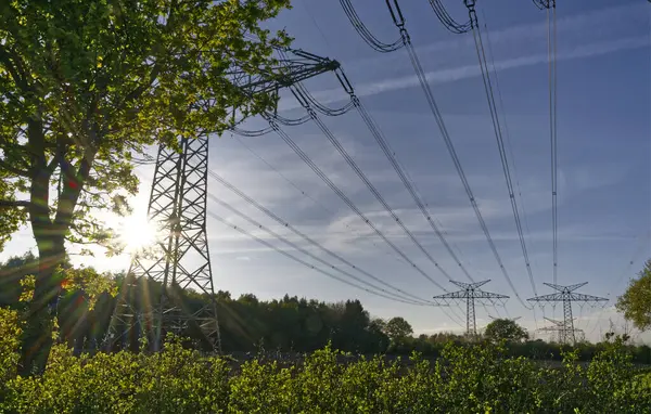 Jagel yakınlarında Schleswig yakınlarında büyük elektrik hatları 2025 baharında Almanya 'da yeni açmış bir tarlanın üzerinde gün batımından önce bazı çelişkilerle birlikte mavi bir gökyüzünün altında.
