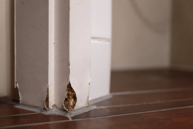 Büyük su hasarı var. Banyodaki ahşap bir kapının ahşap çerçevesinde nem hasarı var. Duş alma ve yıkanma nedeniyle yüksek nem ve su damlaları oluşmuş.