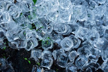 Restorandaki buz küpleri bir saksıda sallanarak toprağı serinletti ve yaz sıcağında eriyip gitti.