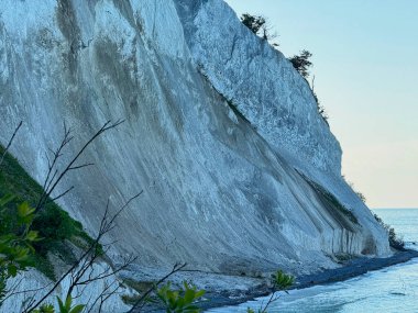 Kapatın kayalıkları ya da daha doğrusu Moens Klint Danimarka 'nın yamacını mavi gökyüzü ve önünde ağaçlar olan merdivenleri.