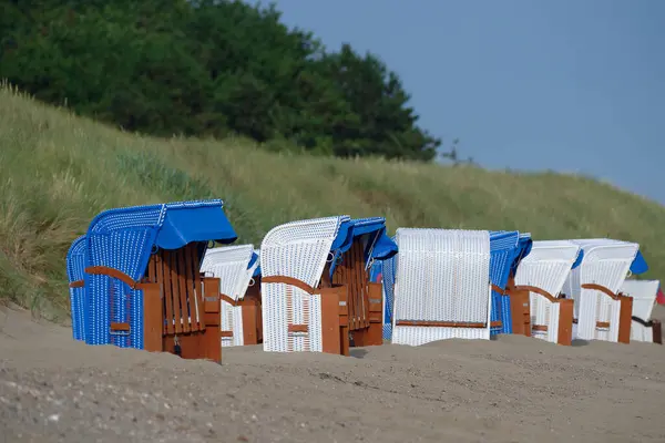 Wyk auf Foehr plajında, plajda bast ve ahşaptan yapılmış boş beyaz ve mavi plaj sandalyeleri tatilde olan turistler için hazırdır.