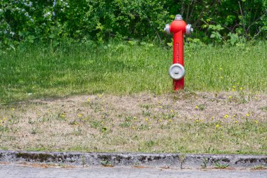 Kırmızı bir yangın musluğu yeşil bir alanda duruyor. Üzerinde sarı çiçekler ve Flensburg Harrislee 'de beton bir kaldırım var.