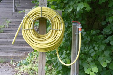 Yeşil yapraklarla çevrili, metal bir musluğun yakınındaki tahta bir direğe sarılı sarı bahçe hortumu..