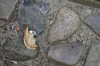 Çamur ve küçük döküntülerle çevrili, kaldırım taşı yolunda bir parça ekmek..