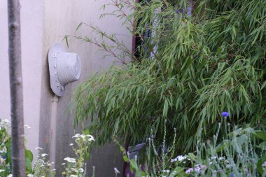 Duvar boyunca uzanan boyalı bir borunun üzerinde örülmüş beyaz bir yaz şapkası asılı. Taze bambu yakınlarda yetişir ve kentsel elementlere karşı doğal bir kontrastlık yaratır..