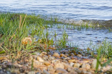 Kayalık bir sahil, sahil boyunca büyüyen büyük taşlar ve yemyeşil otlar içerirken, okyanus dalgaları Wassersleben yakınlarındaki Kollund sahilinde açık gökyüzünün altında yavaşça çarpışıyor.