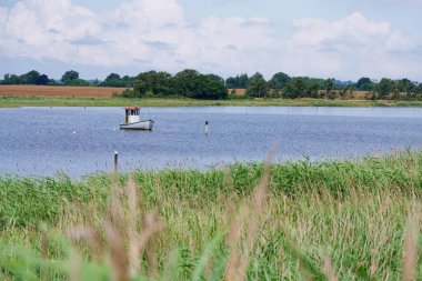 Deniz kenarında küçük beyaz bir balıkçı teknesinin olduğu büyüleyici bir manzara. Yakınlardaki bir direğe tüneyen bir kuş sakin su, uzak ağaçlar ve tarlalar ile sakin bir atmosfer yaratır..