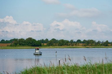 Sakin sularda küçük bir balıkçı teknesi olan huzurlu bir sahil manzarası. Kuşlar, uzak ağaçlar, açık araziler ve açık mavi gökyüzü tarafından desteklenen, denizdeki ahşap direklerin üzerinde dinlenirler..