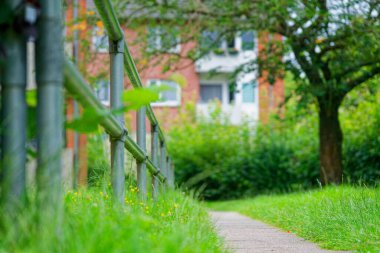 Bir konut evinin avlusunda patika boyunca metal bir korkuluk bulunur. Arka planda, kırmızı tuğla bir bina ve ağaç görülebilir. Sarı çiçekler çimenlerde açar, cazibe ve renk katar..