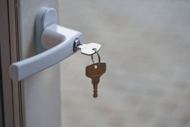 Ahşap kapının plastik bir sapı ve silindir kilidi vardır. Bir anahtar takılır, ikincisi yüzüğe takılır. Bu tür kilitler çocuk güvenliği için ya da terasa güvenli erişim için sınır.