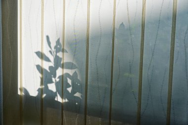 Kapalı güneşlikler güneşi yumuşak ışık ve gölge şeritlerine çevirir. Bir saksı bitkisi pencerenin kenarında oturur, sadece nazik bir siluet olarak görülür. Basit eko-stil sahnesi sakin, asgari ve sıcak..