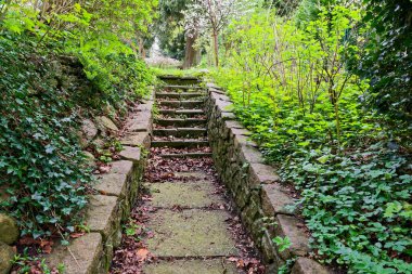 Yaşlı taş adımlar parktan yükselir, kuru yapraklarla kaplı ayak izleri, sarmaşık ve diğer çalılar her iki taraftan da bastırır. Serin gölgeler ve yıpranmış kenarlar sakin bir sonbahar yolu sahnesi yaratır..