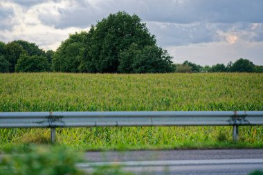 Çelik korkulukların ötesinde yüksek yeşil bir mısır tarlası hızlı şeritlerin yanında yükseliyor. Kulaklar hafif bir esintide hışırdarken mavi gökyüzü ve yumuşak bulutlar yola kırsal bir sınır çiziyor.