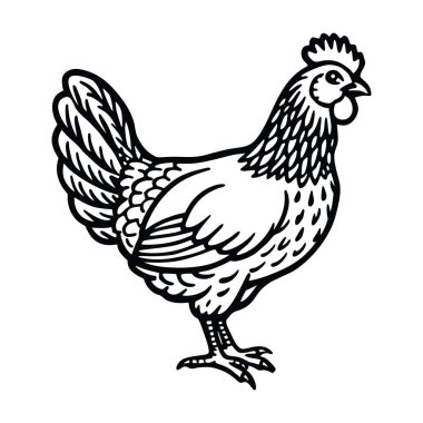 Tavuk ikonu. Web için horoz vektör simgesinin özet çizimi