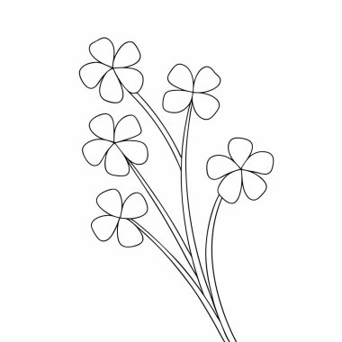 Beyaz yoncanın el çizimleri. özet vektör çizimi.