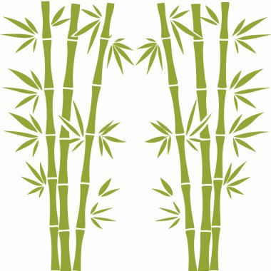 vektör yeşil bambu ağaçları arka plan