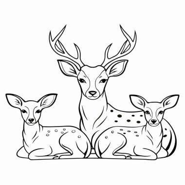 Dekoratif tasarım elementleri, çiçek desenli tasarım.