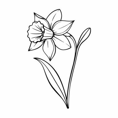 Güzel siyah beyaz çiçeklerin vektör çizimi.
