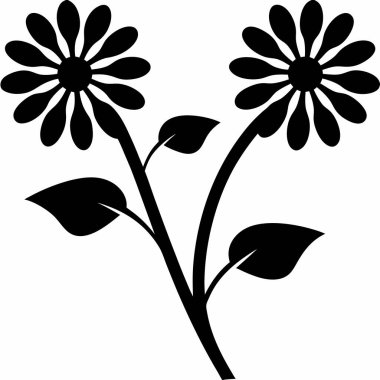 Papatya çiçeği, illüstrasyon, beyaz arka plan vektör.