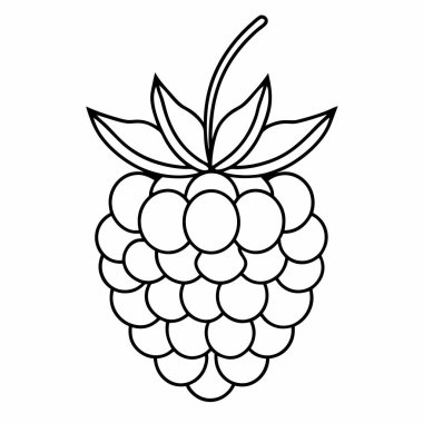 izole edilmiş taze böğürtlen simgesi