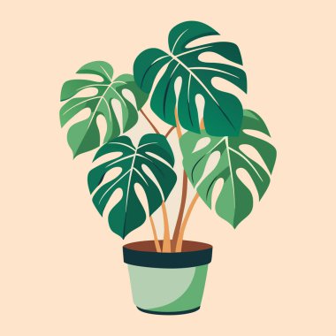 Bahçede saksı bitkileri. Beyaz arka planda izole edilmiş bir saksının içindeki bir ev bitkisinin vektör düz çizimi. saksı ve saksı..