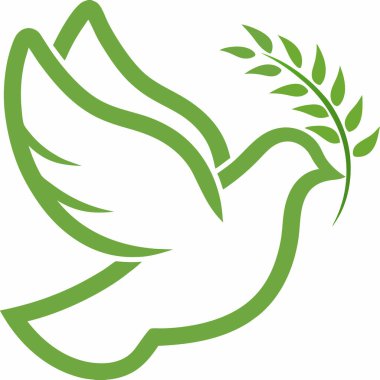 Barış güvercini zeytin dalı çizimi.