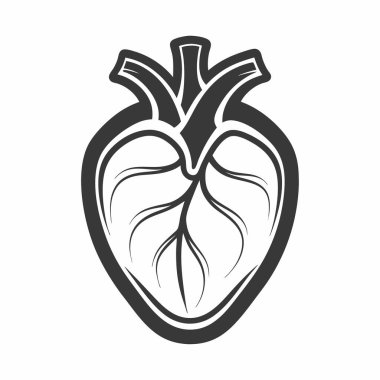 Siyah-beyaz anatomik kalp çizimi. İnsan kalp organı izole edilmiş ikon vektörü.