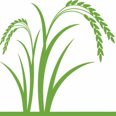 Soyut, dikişsiz çiçek desenli siyah beyaz organik eğriler..