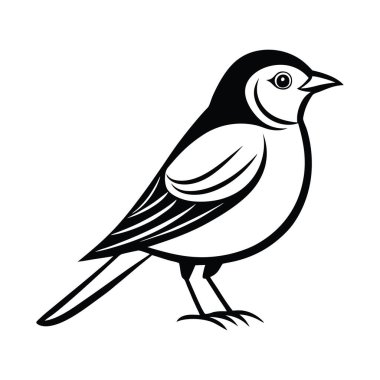 Bir kuş çizgisi çizimi ötücü kuş ikonu vektör illüstrasyonu.