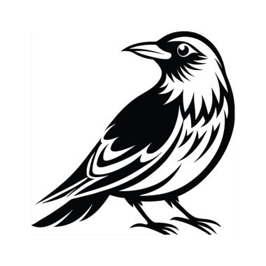 Kuş çizimi karga ikonu vektör illüstrasyonuName.